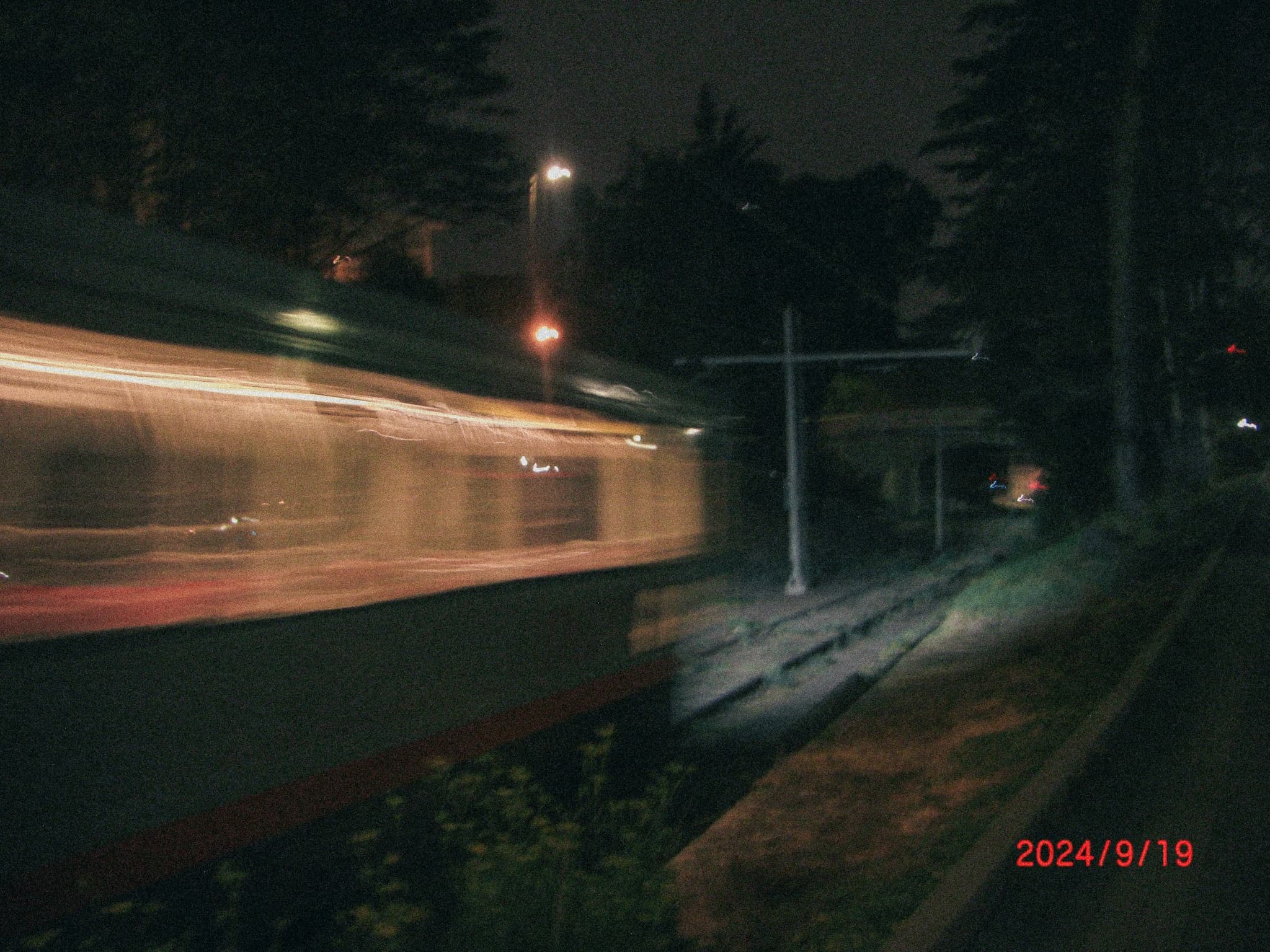 young and dumb (cas)